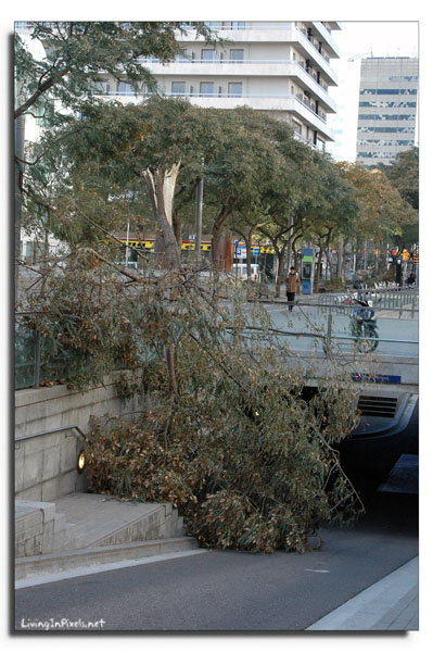 2009-01-24-164940_ventada