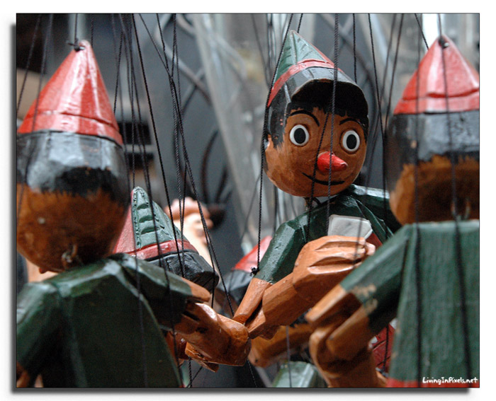 2008-09-24-142636-pinocho