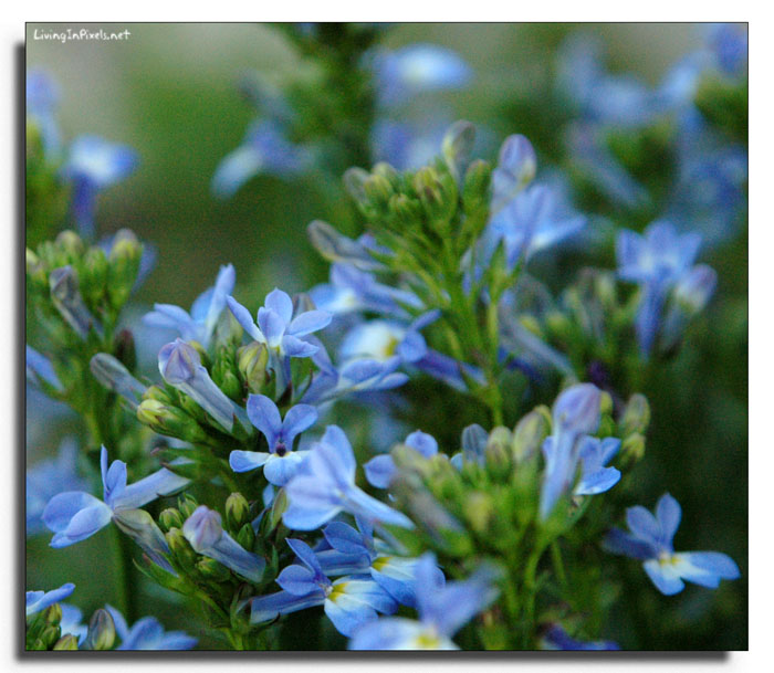 2009-07-04 21.11.59_dissabte