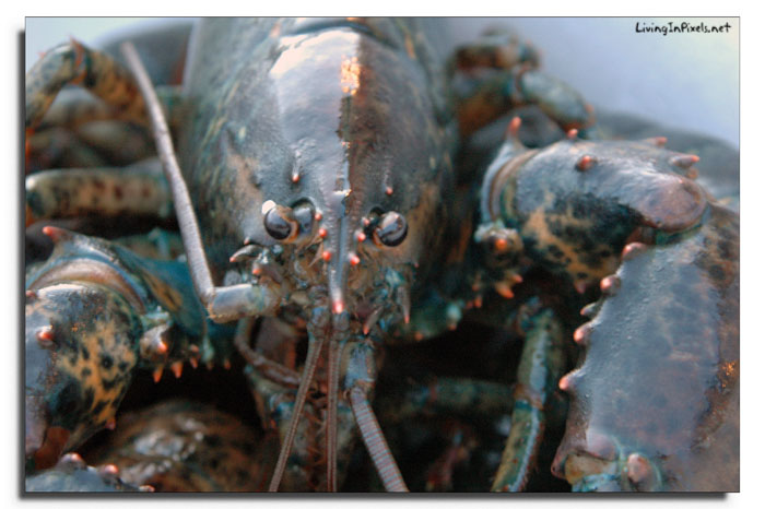 2009-07-04 21.18.16_dissabte