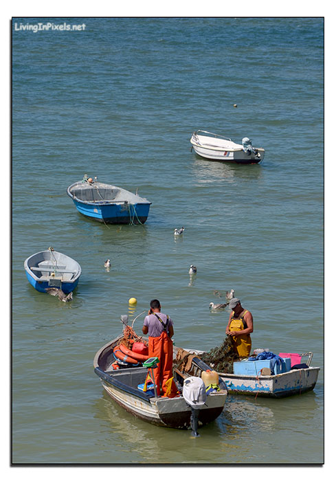 Preparando la _pesca