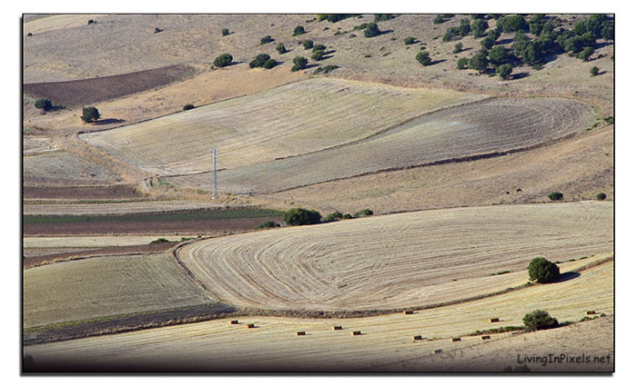 Peinando la tierra 2